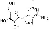 Fludarabine 
